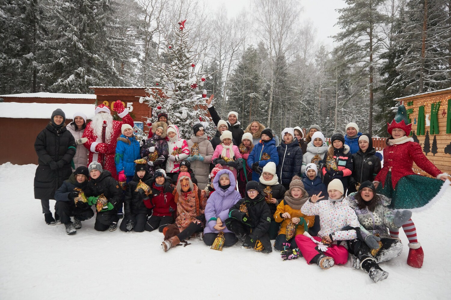Новогодняя программа для школьных классов "Конь в пальто" 